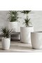 Novato Polyresin Planter 35.5x35.5x46cm - Cream - 4