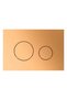 Loop WC Flush Plate metallic brass, 2 steps