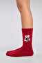 Women's 4-Pack Cotton Teddy Bear Patterned Socks - 4