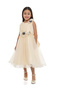 Girls Flower Applique Mesh Insert Festive Dress - 2