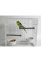 Natural Wood Branch Parakeet and Cockatiel 5-Piece Play and Perch Set – Swing, Climbing Toy, Resting Perch - 2