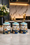 Ceramic Spice Jar Set of 3 with Patterned Lids Kitchen Spice Storage Jars