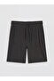 Anthracite Regular Fit Men's Shorts - 5