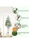 Lifelike 152cm Double Stem Faux Olive Tree With Olive Fruits Zero Maintenance Potted Plant - 5
