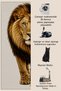 Sdtamor Lion Patterned Modern Woven Base Decorative Carpet Sdtamor2163 - 5