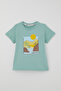 Boy's Shorts Set Summer Themed Palm Tree Printed 3-8 Years Old, Water Green - 2