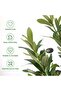 Ultra Realistic 152cm Double Trunk Artificial Olive Tree Natural Bark Trunk With Lifelike Olive Fruits - 6