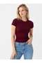 Set of 3 95% Cotton Body-Fitting Full Length Slim Fit Lycra Blouse-T-Shirt - 2