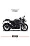 ملصق مطلي مصنوع بالحدادة من نوع Bajaj RS200 للرفرف الأمامي الأيمن والأيسر - 2
