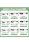 12pcs Glass Food Storage Containers with Lids, Meal Prep, Pantry Kitchen Storage Containers for Lunch, Leak Proof, Airtight Glass Lunch Bento Boxes for Microwave, Oven, Freezer And Dishwasher - 6