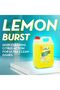 Compact Dishwashing Liquid Refill, Grease-Cutting Formula for Home, Office & Commercial Kitchens, (Lemon, 5 Liter) - 2