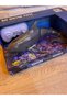 Remote Control Waterproof Floating Animal Series (4 Models) - Realistic Moving Rc Crocodile, Shark, Whale, and Dolphin - 2