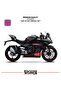 CFMOTO 450SR ملصق جريناج مجموعة اليسار الأيمن نموذج ملصق ملصق عالي الجودة