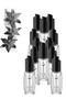 12 Pieces Islanders Perfume 30ML