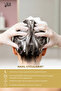 Cinnamon Copper (Light Blonde Copper) 8.77 Hair Shampoo |   300 ml X 2 Pieces & for Whites - 3
