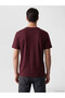 Lcwaikiki Classic Regular Fit Cotton Men's T-Shirt - 4