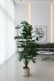 125cm Artificial Cheflira Tree - 2