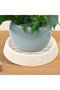 Flowerpot Saucers | Reinforced Saucer for Succulents - Leak-Proof Flowerpot Saucer with Drainage Holes for Garden, Greenhouse, Yard, and Home - 4