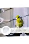Multi-purpose bird bath tub, thickened transparent hanging feeder - 3