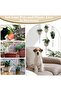 5-piece plant stand and plant support set. Includes woven hanging pots, cotton rope hanging baskets, flower pots, and hanging racks. - 5