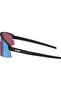 P006S Unisex Sunglasses-0Zb702303 - 3