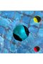 3 - Water balls for water games - Game ball liner - Beach balls and pool balls - Water balls - Bouncy water balls - Bouncy beach balls - Red,... - 5