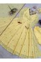 Yellow Embroidered Faux Georgette Anarkali Set - HRT9340 | Yellow-Size:2XL-44-Inches - 5