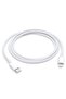 Apple Usb-C to iPhone Charger Computers Arab