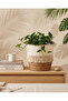 Beige Woven Grass & Paper Rope Planter with Waterproof Liner - L