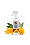 DEOCAR 250ML MANGO - M117MG - 2