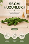 55 cm Plush Crocodile Small Size Soft Toy Sleeping Companion Cute Plush Crocodile - 2