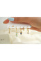 Çkp6023 Set of 6 Earrings with Colorful Stones and Baguette Details - 2