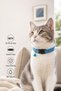 4-Piece Cat Play and Entertainment Set |   Leash, Tunnel, Fish and Intelligence Toy - 2