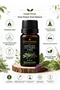 Sage (Bitter Apple) Oil 10 ml Pure Herbal Essential Oil - 3