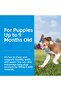Puppy Teething Stick Puppy Dog Teething Toy S - 3