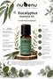 Eucalyptus Essential Oil 100% Pure 10 ml - 2