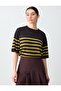 Bitter Brown Crew Neck Elbow Sleeve Striped Knitwear Blouse