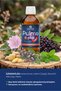 Pulmo Plus Herbal Mix 100 ml Black Elderberry Marshmallow Flower Ginger Island Tea Mint Food Supplement - 3
