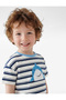 Cotton Short Sleeve Crew Neck Embroidered Oversize Striped T-Shirt - 2