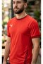 Men's Training T-shirt Suitable for Daily Use and Sports Comfortable Plain T-shirt