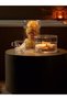 Clear Glass Dome Cover with bottom wooden stand H40cmxW30cm – Elegant Food, Cake & Fruit Display Cloche, Made in Poland - 5
