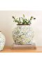 Alban Ceramic Vase 28x28x24cm - Green