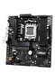 A620AM Pro-A, AMD A620A, Socket AM5, mATX - 4
