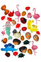 Sea Shell Painting/ Hobby & Box Game/Camping Theme Artistic Activity Set - 4