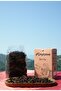 Handmade Black Tea Without Additives,Natural Black Sea Tea 100 Gr - 2