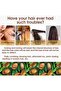 Pure Natural Argan Oil for Hair Wholesale - 5