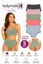Women's Panties, High Waist Briefs, 5 Pieces, Assorted Color (S-M-L-Xl-2Xl-3Xl) 100% Soft Fabric