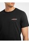 Erkek Regular Fit T-Shirt - 3