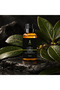 100% Pure Laurel Leaf Essential Oil / Laurel Leaf Oil / Laurus Nobilis 10ml Ym24Df0101 - 4