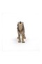 HOWLING WOLF FIGURINE - 4